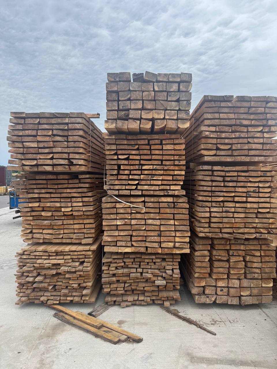 Large stacks of pine timber in the export yard